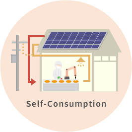 Self-Consumption