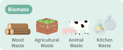 What is Biomass Power Generation