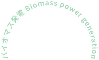 Biomass power generation