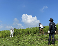 2019年度 夏季休業のお知らせ